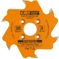 Frez do lamelek CMT D=100 F=22 Z=6, 240.006.04
